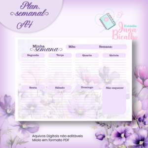 Planejamento Semanal A4 Fisioterapia