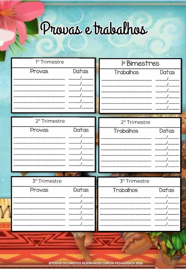 Moana Planner e Caderno de Planejamento para professores 2026 Moana Planner e Caderno Pedagógico 2026 @corujapedagogica